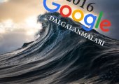 2016 Google Dalgalanmaları